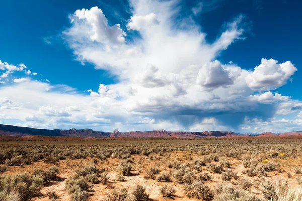 Utah piaskowca klif panorama — Zdjęcie stockowe