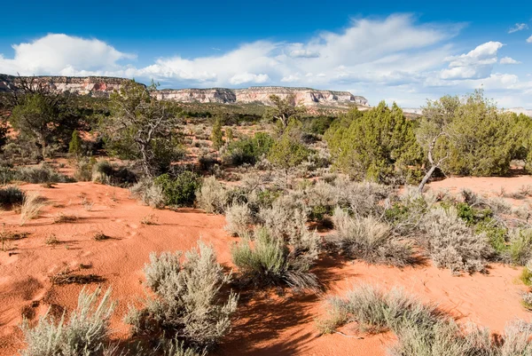 Utah landscape — Stock Photo, Image