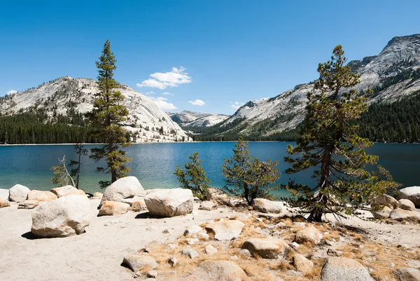 Yosemite national park sjön tenaya — Stockfoto