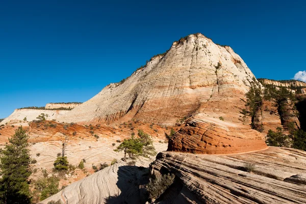 Sandstone cliffs in zion national park — Stock Photo, Image