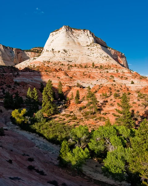 Sandstone cliffs in zion national park — Stock Photo, Image