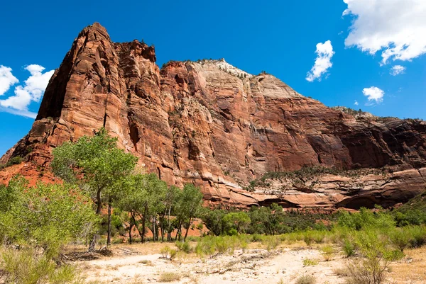 Vertical cliffs in zion national park — Stock Photo, Image