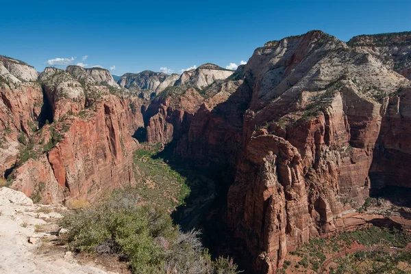 Panorama from angels landing — Stock Photo, Image