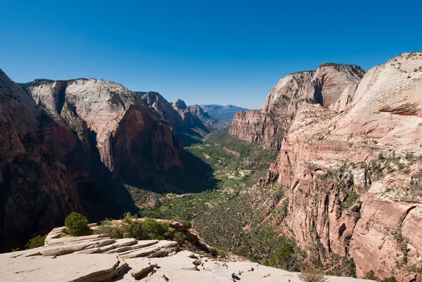 Panorama from angels landing — Stock Photo, Image