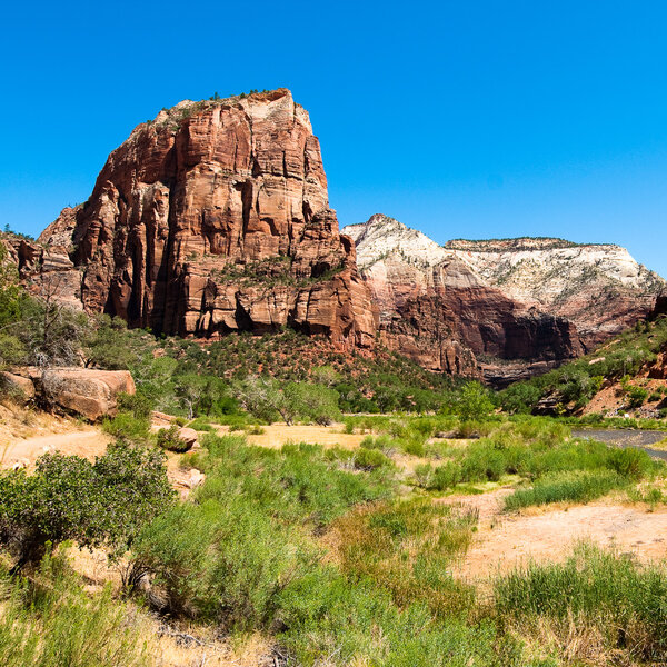 Ландинг ангелов
