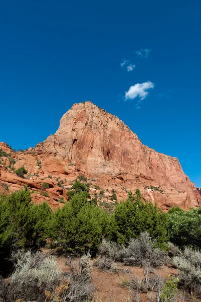 Kolob canyon in zion national park — Stock Photo, Image