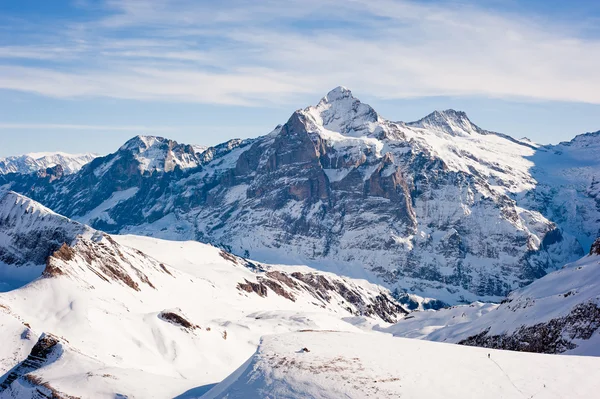 Wetterhorn sobre Grindelwald —  Fotos de Stock