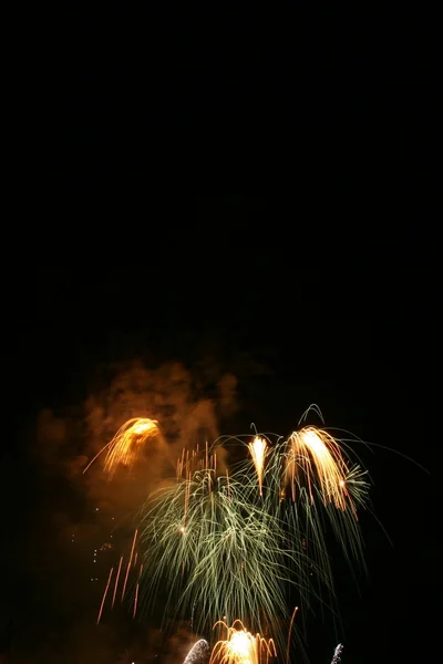 불꽃놀이 — 스톡 사진