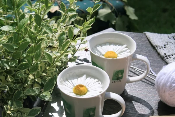 stock image Garden still life