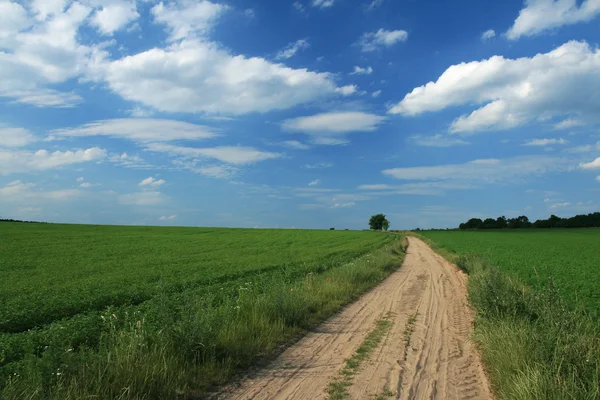 stock image Landscape with dirt road