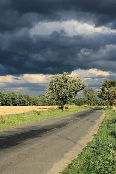 stock image Landscape