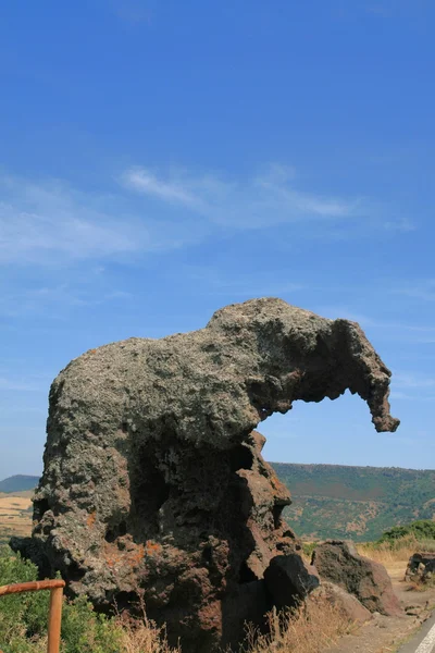 Roccia dell' elefante, Сардинія — стокове фото