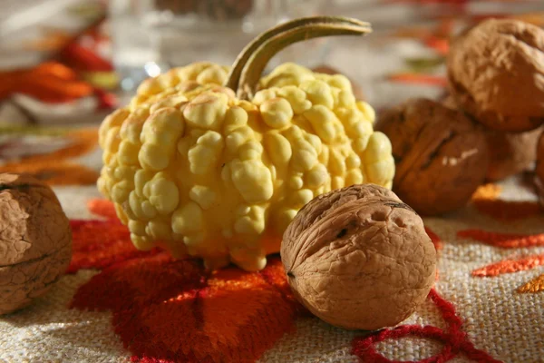 Pumpkin and walnuts — Stock Photo, Image