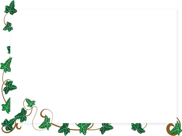 Carta con foglie di edera — Vettoriale Stock