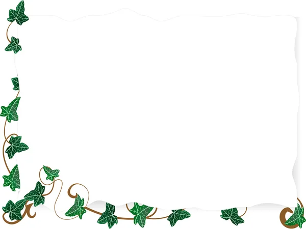 Papier avec feuilles de lierre — Image vectorielle