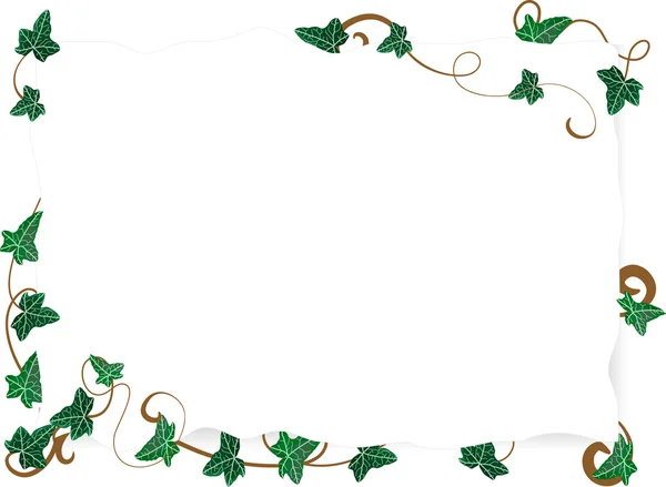 Бумага с листьями плюща — стоковый вектор