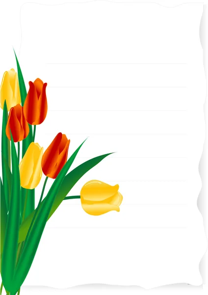 Paper with tulips — Stock Vector