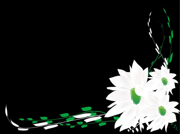 花と黒の背景 — ストックベクタ