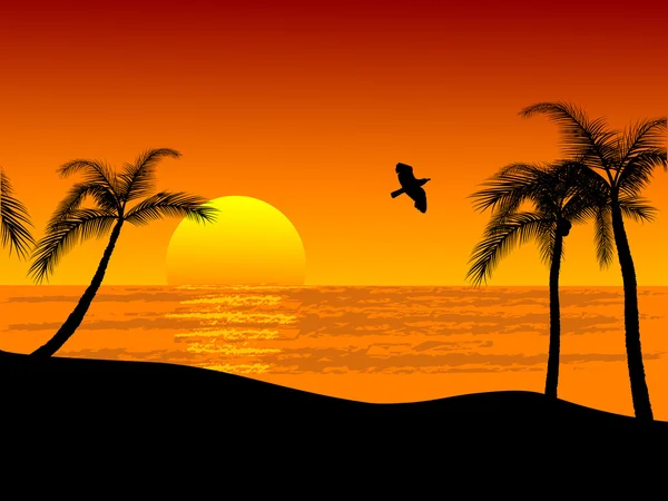 Coucher de soleil sur la plage — Image vectorielle