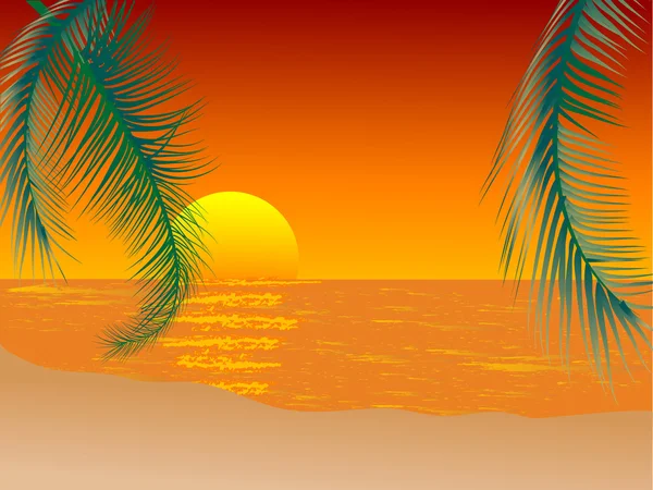 Ηλιοβασίλεμα στην παραλία — Διανυσματικό Αρχείο