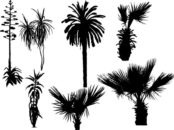 stock vector Palms