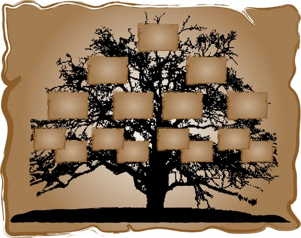 Genealogical tree — Stock Vector