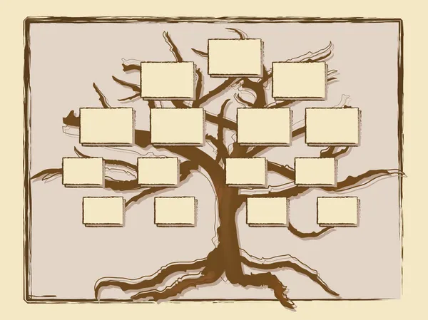 Árvore genealógica — Vetor de Stock