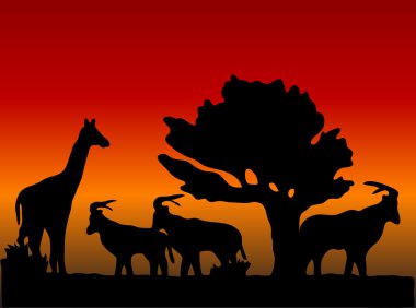 Sunset in safari clipart