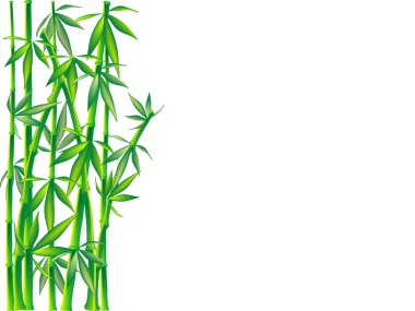 Bamboo clipart