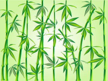 Bamboo clipart