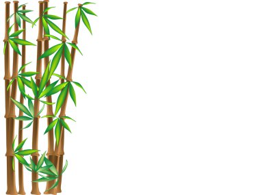 Brown bamboo clipart