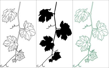 Vine leaves clipart