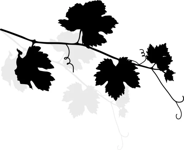 Feuilles de vigne — Image vectorielle