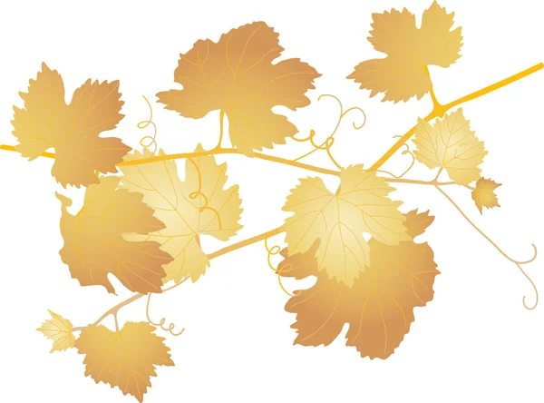 Вино виноградне листя — стоковий вектор