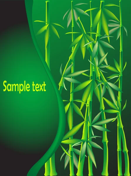 Bambou — Image vectorielle