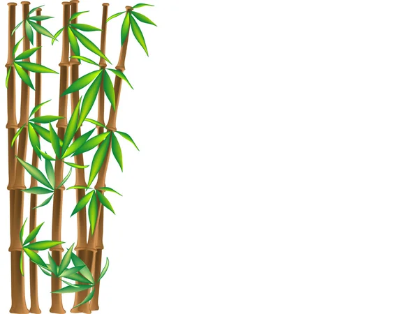 Bambú marrón — Vector de stock