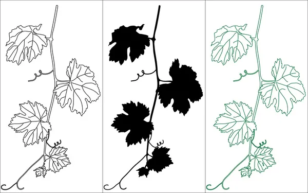 Vine leaves — Stock Vector