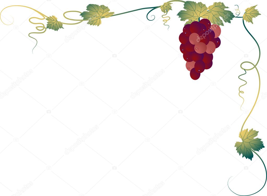 grapevine borders clipart