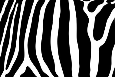 Zebra stripes clipart