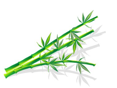 Bamboo clipart