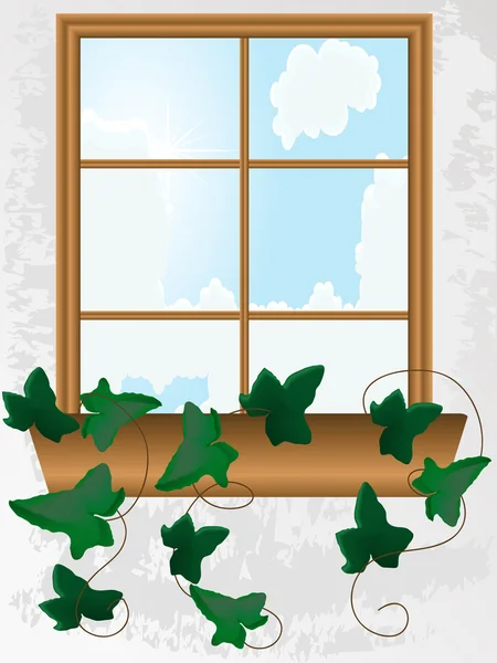 Ivy ile pencere — Stok Vektör