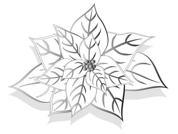 Christmas flower — Stock Vector