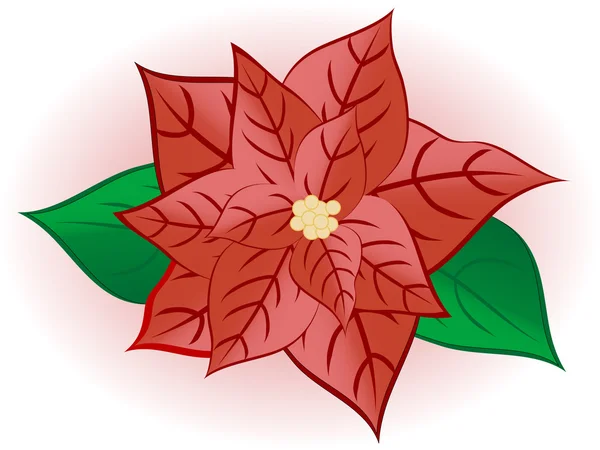 Kerstmis bloem — Stockvector