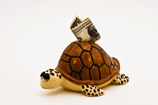 Turtle bank Stock Image