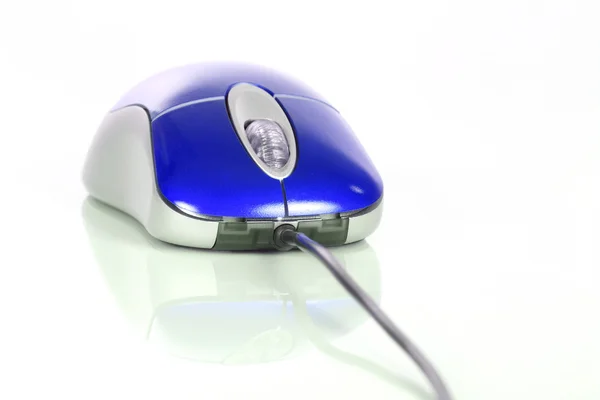 Mysz komputerową niebieski — Zdjęcie stockowe
