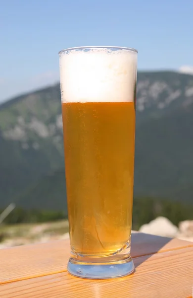 stock image Beer at the table close-up