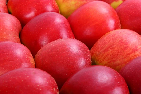 stock image Red apples