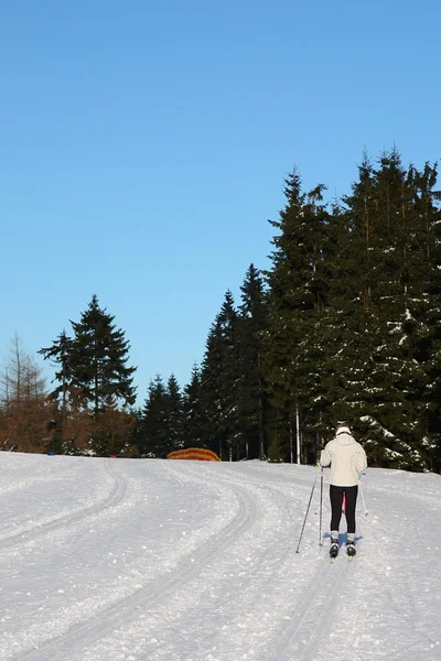 stock image Nordic - skating,