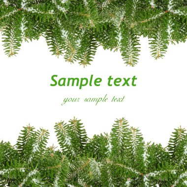 Pine branches frame clipart