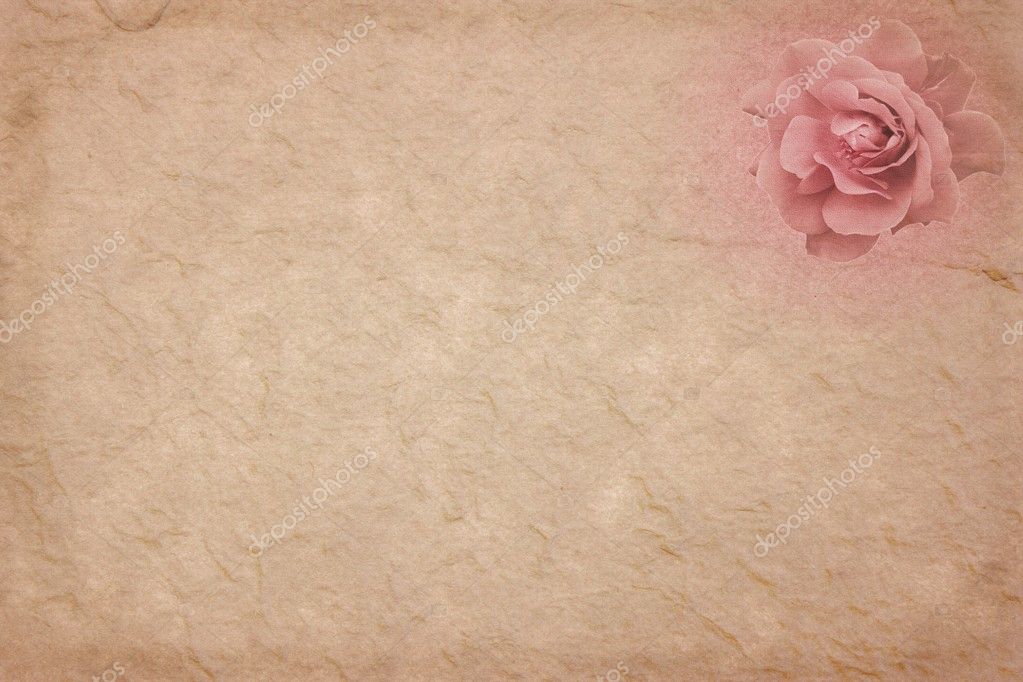 Vintage Rose Old Paper Background Stock Photo 58396345